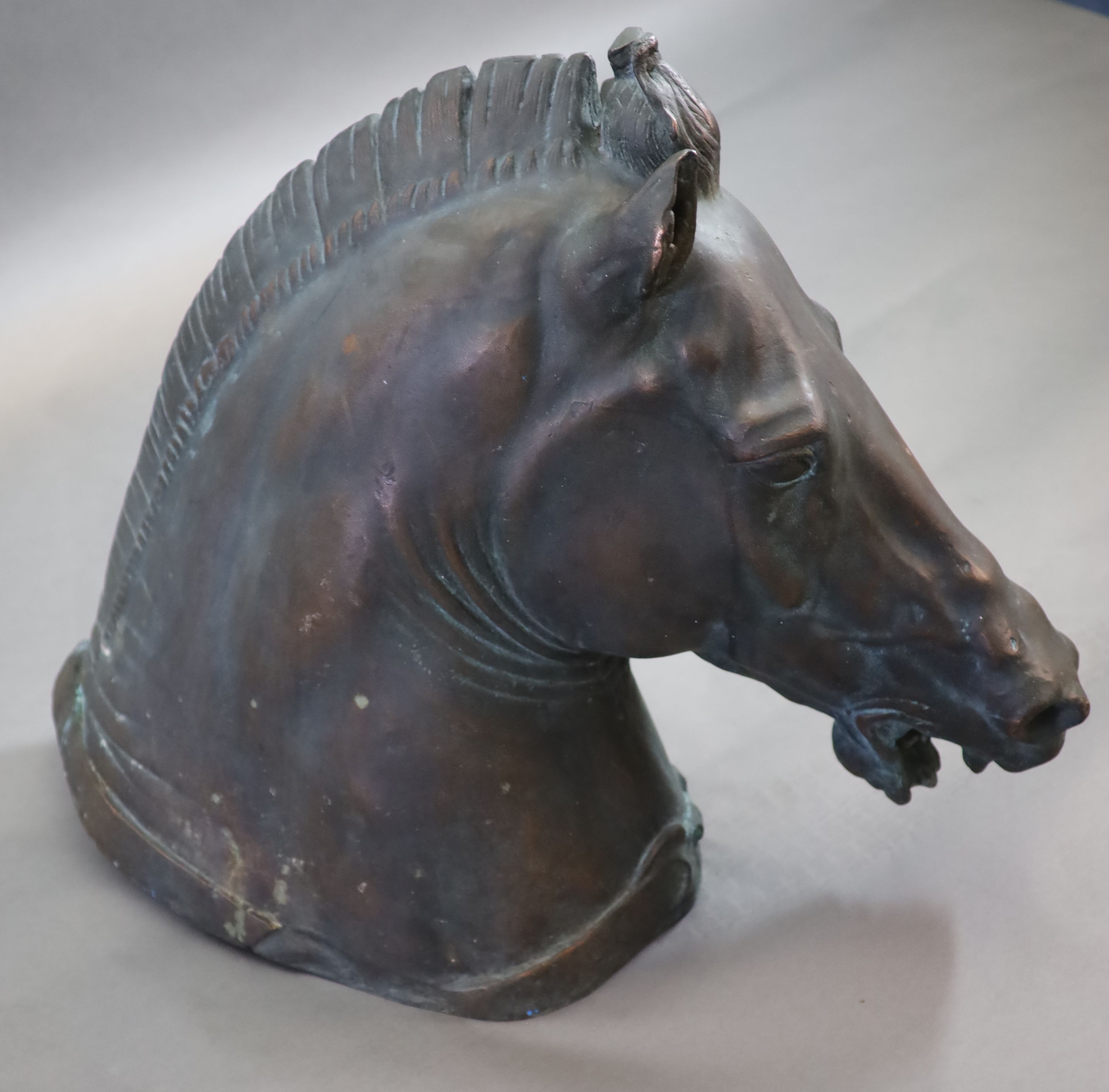 A large and impressive life-size bronze model after the Medici Riccardi horse’s head, 20th century H 80cm. L 97cm.